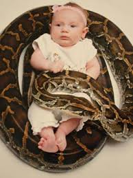 child and a snake